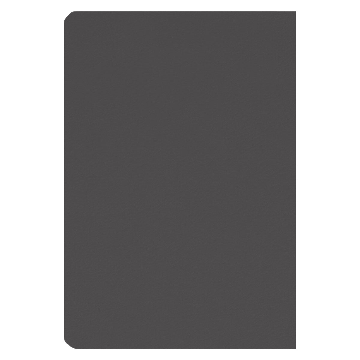 2025 Chronos Daily Planner