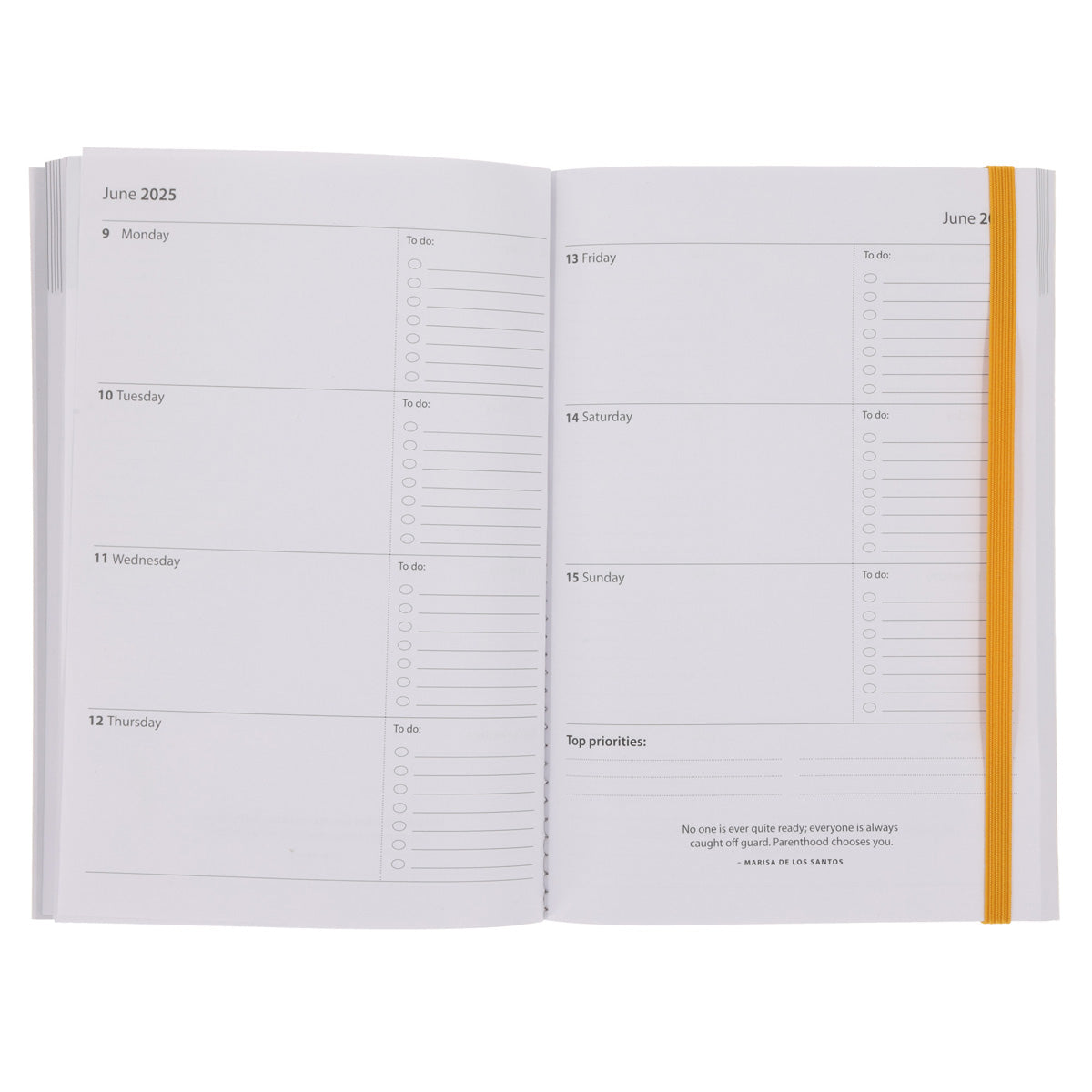 2025 A5 Daily Planner – Africanicity