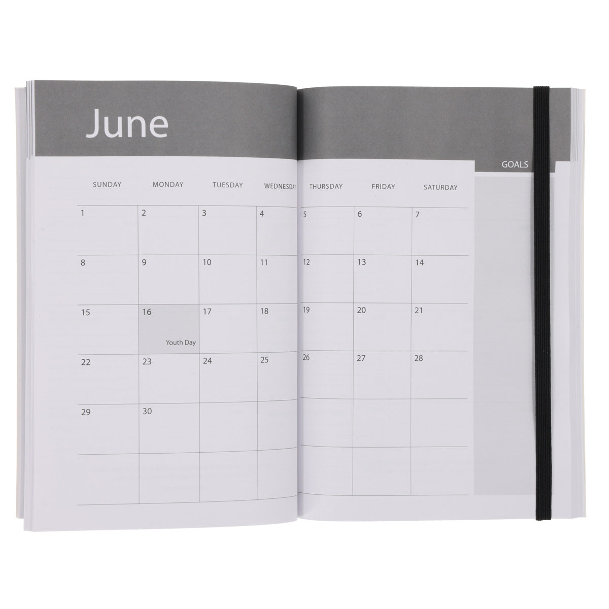 2025 A5 Daily Planner – Geo Fox