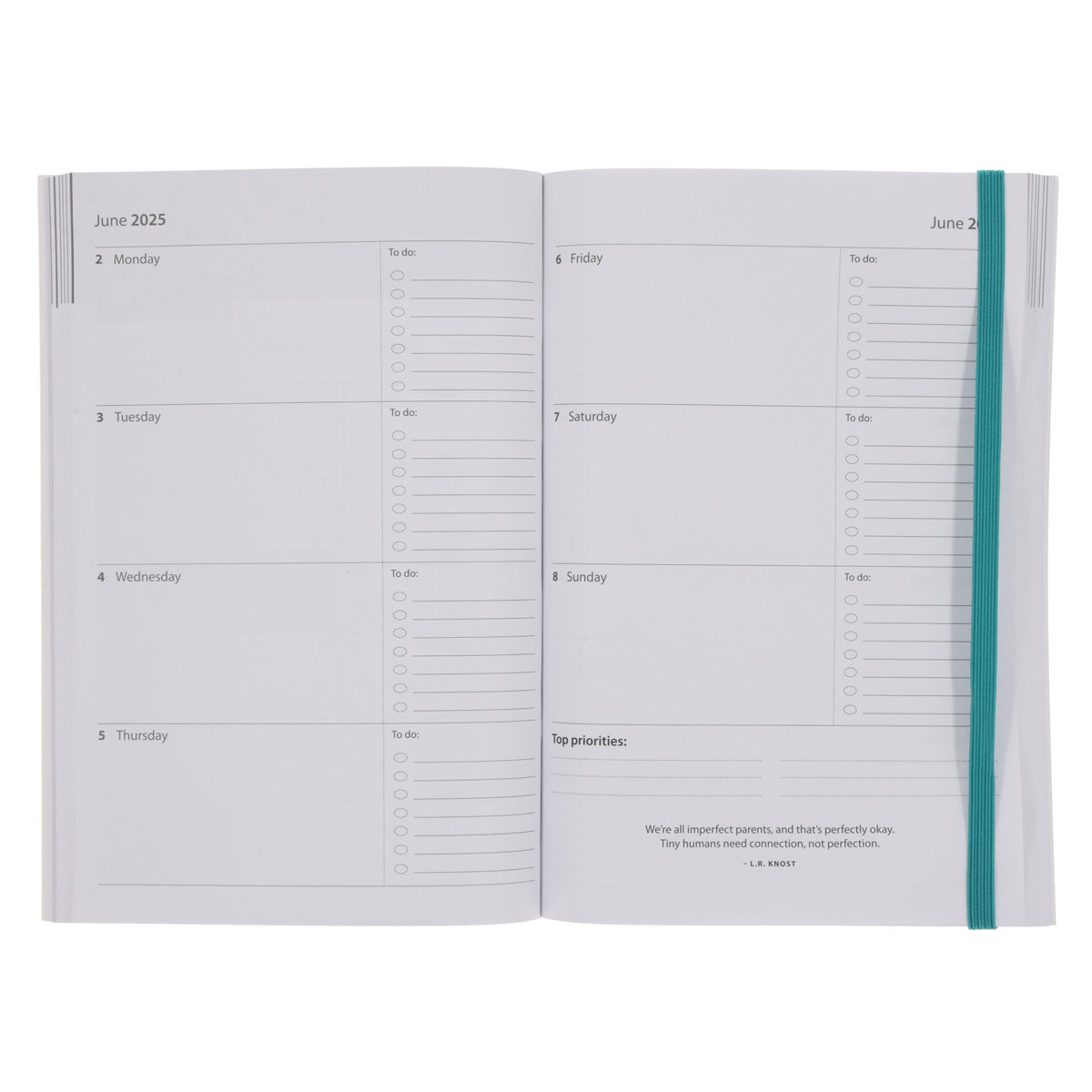 2025 A5 Daily Planner – Abstract David