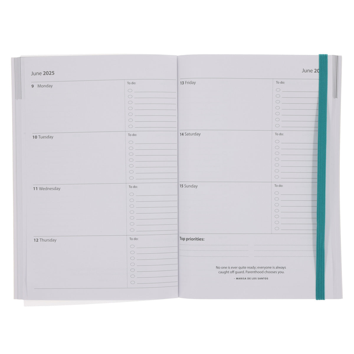 2025 A5 Daily Planner – Abstract David