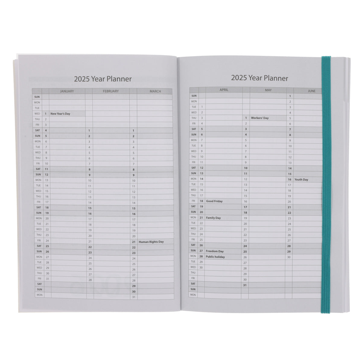2025 A5 Daily Planner – Abstract David