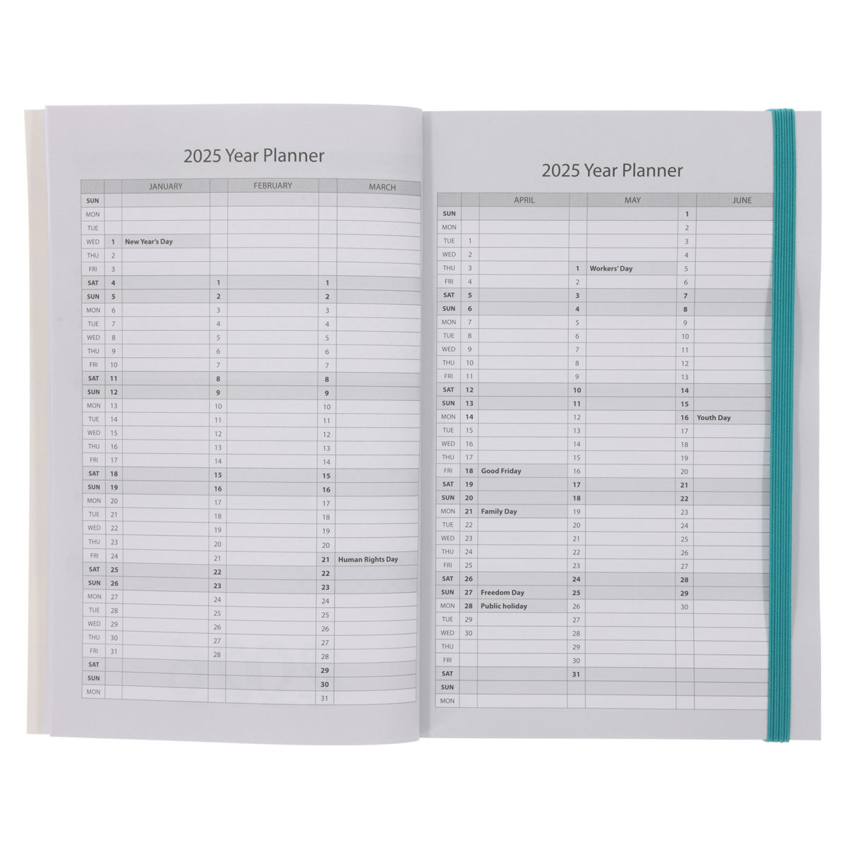 2025 A5 Daily Planner – Twisted Foliage